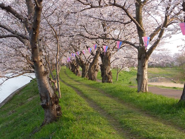 つくばみらい市